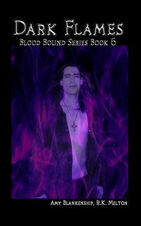 Dark Flames , Amy Blankenship audiobook. ISDN42351291