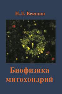 Биофизика митохондрий - Николай Векшин