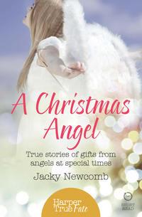 A Christmas Angel: True Stories of Gifts from Angels at Special Times - Jacky Newcomb