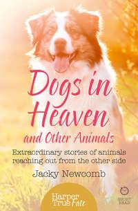 Dogs in Heaven: and Other Animals: Extraordinary stories of animals reaching out from the other side, Jacky  Newcomb Hörbuch. ISDN42403070