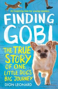 Finding Gobi: The true story of one little dog’s big journey, Dion  Leonard książka audio. ISDN42403438