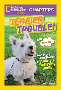 National Geographic Kids Chapters: Terrier Trouble!, Candice  Ransom Hörbuch. ISDN42403638