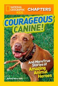 National Geographic Kids Chapters: Courageous Canine: And More True Stories of Amazing Animal Heroes,  audiobook. ISDN42403710