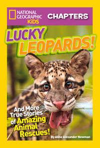 National Geographic Kids Chapters: Lucky Leopards: And More True Stories of Amazing Animal Rescues - Aline Newman