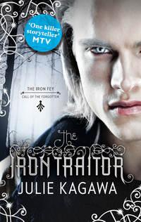 The Iron Traitor, Julie  Kagawa аудиокнига. ISDN42405894