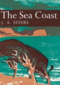 The Sea Coast - J. Steers