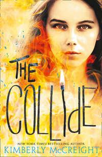 The Collide, Kimberly McCreight audiobook. ISDN42407262