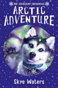 Arctic Adventure, Skye  Waters książka audio. ISDN42407438