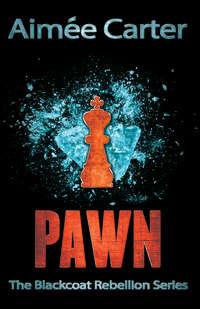 Pawn, Aimee  Carter audiobook. ISDN42410462