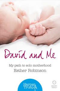 David and Me: My path to solo motherhood, Esther  Robinson аудиокнига. ISDN42411566