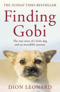Finding Gobi, Dion  Leonard audiobook. ISDN42411574