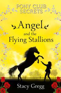 Angel and the Flying Stallions, Stacy  Gregg audiobook. ISDN42412230