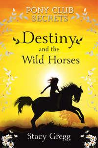 Destiny and the Wild Horses, Stacy  Gregg audiobook. ISDN42412438