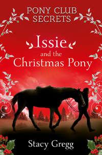 Issie and the Christmas Pony: Christmas Special, Stacy  Gregg audiobook. ISDN42412478