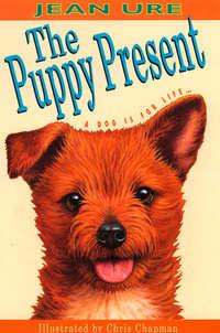 The Puppy Present, Jean  Ure książka audio. ISDN42413918