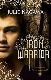The Iron Warrior, Julie  Kagawa audiobook. ISDN42414438