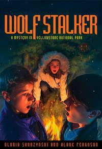 Mysteries in Our National Parks: Wolf Stalker: A Mystery in Yellowstone National Park - Gloria Skurzynski