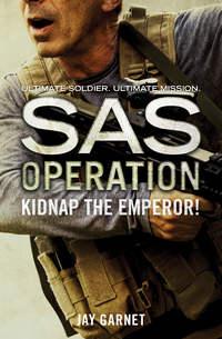 Kidnap the Emperor!, Jay  Garnet аудиокнига. ISDN42415630