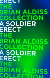 A Soldier Erect: or Further Adventures of the Hand-Reared Boy - Brian Aldiss