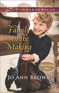 Family In The Making,  audiobook. ISDN42422298