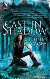 Cast In Shadow, Michelle  Sagara audiobook. ISDN42423914