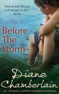 Before the Storm, Diane  Chamberlain audiobook. ISDN42425058