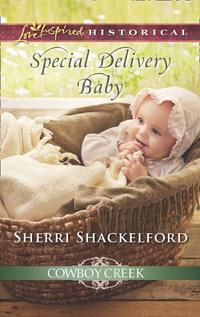 Special Delivery Baby, Sherri  Shackelford аудиокнига. ISDN42425874