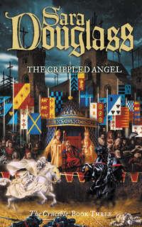 The Crippled Angel, Sara  Douglass audiobook. ISDN42431090