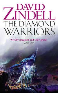 The Diamond Warriors, David  Zindell audiobook. ISDN42431650