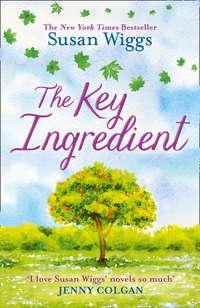 The Key Ingredient, Сьюзен Виггс audiobook. ISDN42432314
