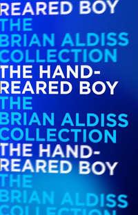 The Hand-Reared Boy, Brian  Aldiss audiobook. ISDN42432506