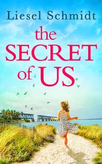 The Secret Of Us - Liesel Schmidt