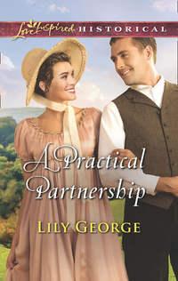 A Practical Partnership, Lily  George audiobook. ISDN42434130