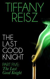 The Last Good Knight Part V: The Last Good Night - Tiffany Reisz