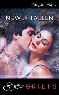 Newly Fallen, Megan Hart audiobook. ISDN42443722