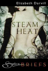Steam Heat, Elizabeth  Darvill аудиокнига. ISDN42443842