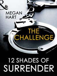 The Challenge - Megan Hart