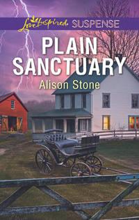 Plain Sanctuary, Alison  Stone audiobook. ISDN42444786