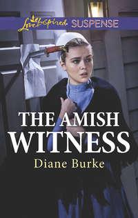 The Amish Witness, Diane  Burke аудиокнига. ISDN42444826