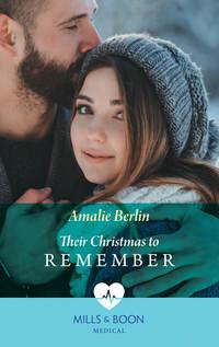 Their Christmas To Remember - Amalie Berlin
