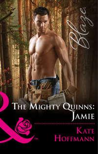The Mighty Quinns: Jamie - Kate Hoffmann
