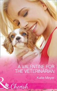 A Valentine For The Veterinarian - Katie Meyer