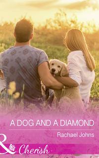 A Dog And A Diamond - Rachael Johns