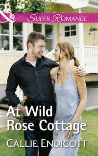 At Wild Rose Cottage, Callie  Endicott аудиокнига. ISDN42450186