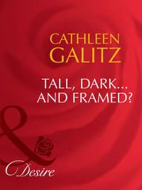 Tall, Dark...And Framed?, Cathleen  Galitz audiobook. ISDN42457323