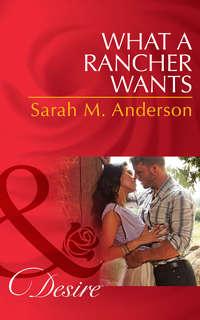 What a Rancher Wants, Sarah Anderson audiobook. ISDN42457931