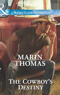 The Cowboy′s Destiny - Marin Thomas