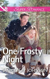 One Frosty Night - Janice Johnson