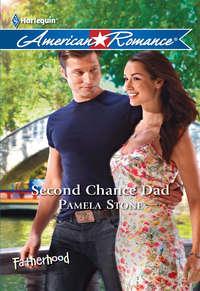Second Chance Dad, Pamela  Stone audiobook. ISDN42461771