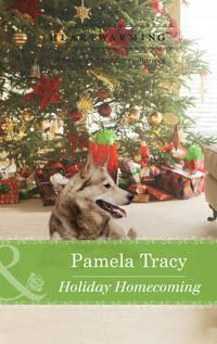 Holiday Homecoming, Pamela  Tracy audiobook. ISDN42462763
